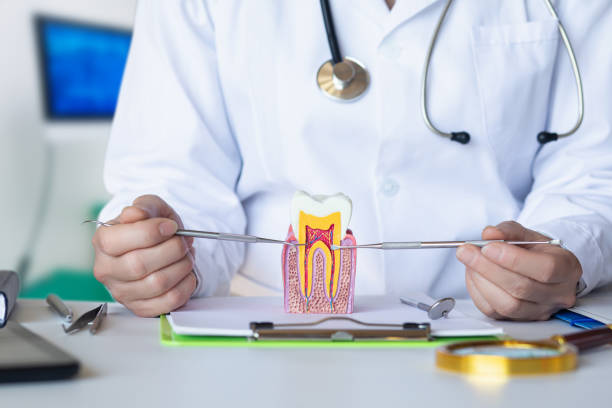 Best Emergency Dentist for Knocked-Out Tooth in Montevlo, AL